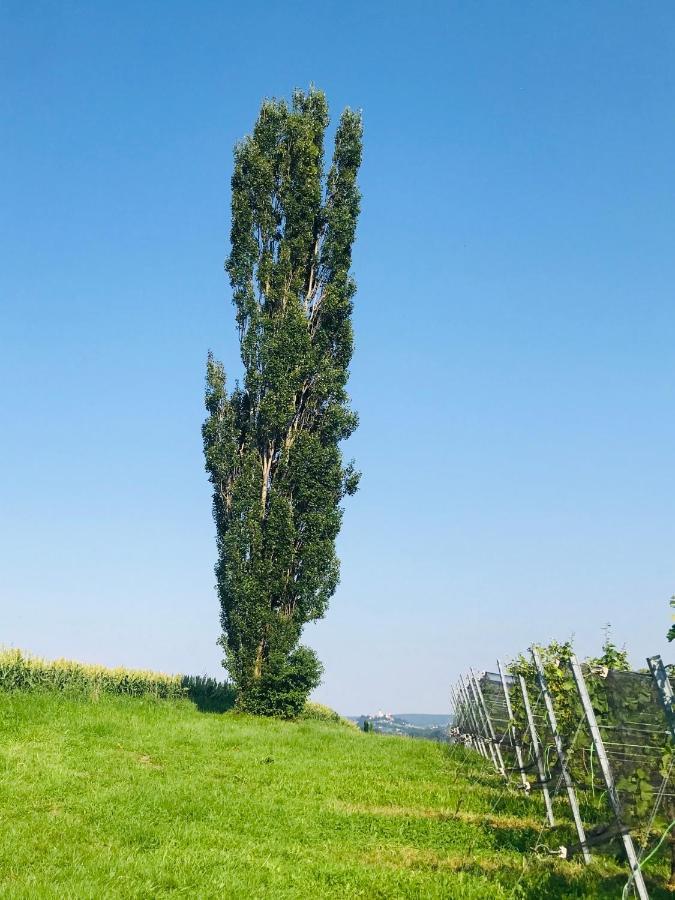 Landvilla Sinelia Premium Dietersdorf am Gnasbach Zewnętrze zdjęcie