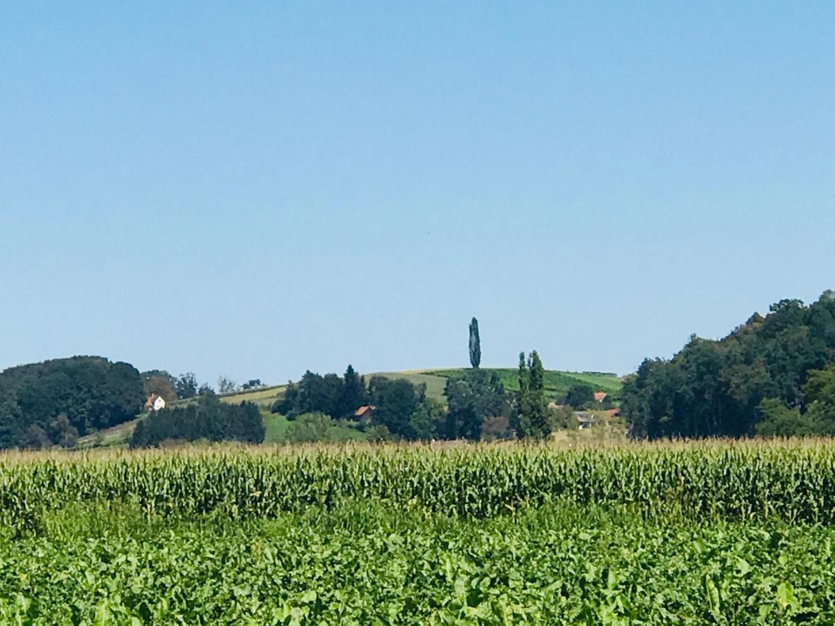 Landvilla Sinelia Premium Dietersdorf am Gnasbach Zewnętrze zdjęcie